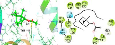 Phytochemical profile, physicochemical, antioxidant and antimicrobial properties of Juniperus phoenicea and Tetraclinis articulate: in vitro and in silico approaches